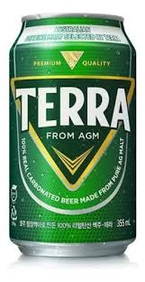 TERRA cerveza 355ml